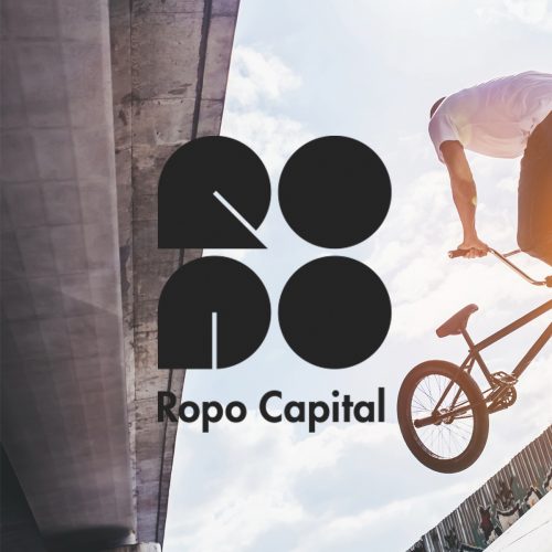 Ropo Capital - asiakastutkimus