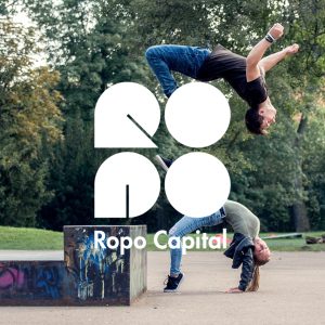 Ropo Capital - asiakaskysely