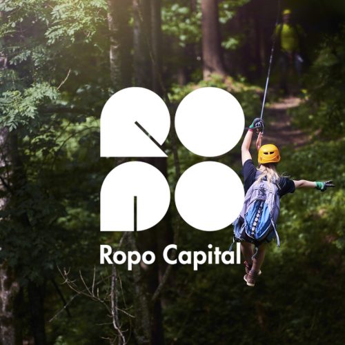 Ropo Capital - Etelä-Savon Energia